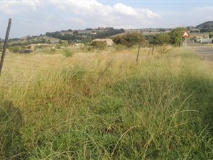 1 ha Land available in Blue Saddle Ranches