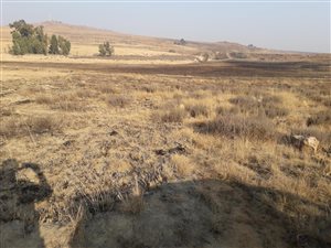2135 m² Land available in Jameson Park