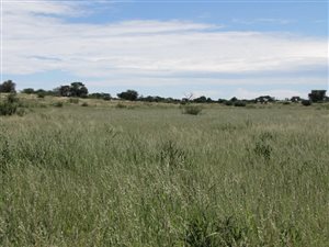10500 ha Farm in Kuruman