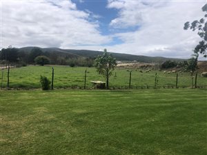 7.8 ha Farm in Herbertsdale