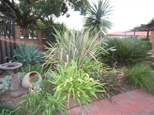 3 Bed House in Vanderbijlpark SW1