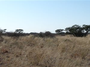 4485 ha Farm in Kathu