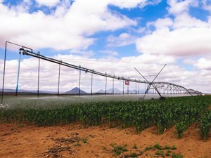 180 ha Farm in Graafwater