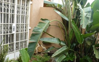 3 Bedroom Flat in Springs Central