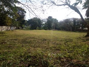 4046 m² Land available in St Lucia