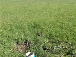 4 ha Land available in Withok Estates