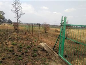 1 ha Land available in Homestead Apple Orchards