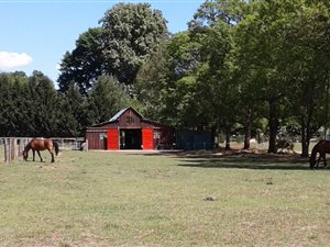 1.7 ha Land available in Himeville