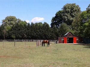 1.7 ha Land available in Himeville