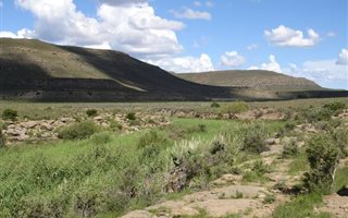 2746 ha Farm in Beaufort West