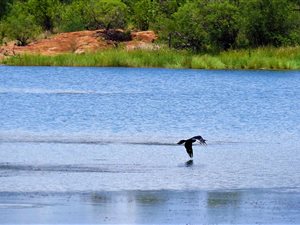 11.4 ha Land available in Dinokeng