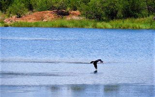 11.4 ha Land available in Dinokeng