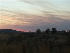 2015 m² Land available in Lekwena Wildlife Estate