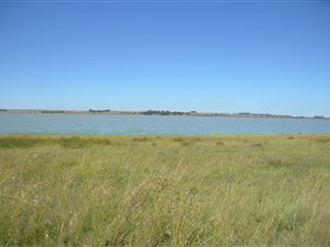 Game Farm in Kroonstad