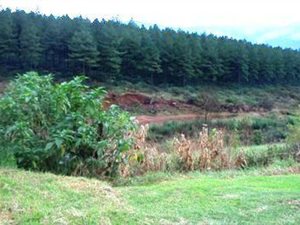 1820 m² Land available in Sabie
