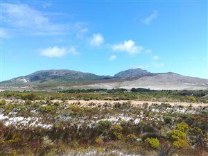 8 ha Farm in Pringle Bay