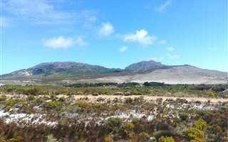 8 ha Farm in Pringle Bay