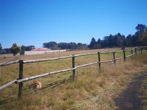 2.5 ha Land available in Cloverdene