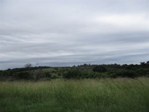 10.5 ha Farm in East London Rural