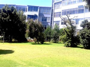 3 Bed Apartment in Melrose North