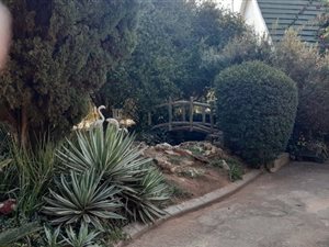 15574 ha Smallholding in Fairleads