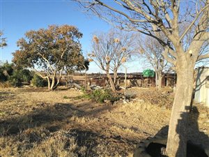 8.5 ha Farm in Wilgeboom AH