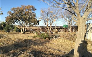 8.5 ha Farm in Wilgeboom AH