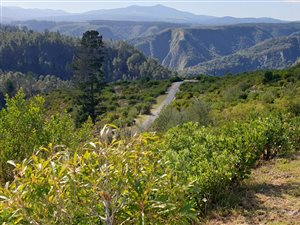 400 m² Land available in Phantom River View