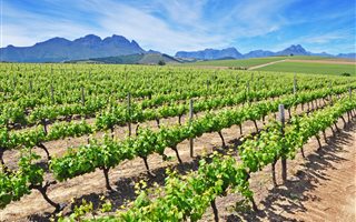 458 m² Land available in Nooitgedacht Estate