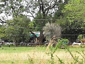 8.9 ha Farm in Nooitgedacht