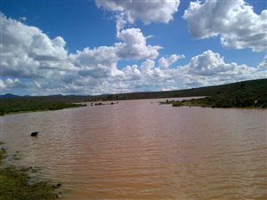 2258 ha Farm in Willowmore