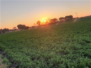 2.9 ha Farm in Brits