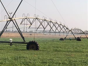 835.4 ha Farm in Alldays