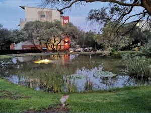 Apartment in Fourways