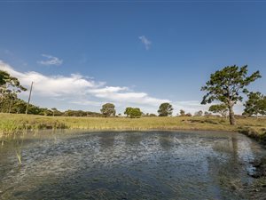 11.5 ha Farm in Kragga Kamma