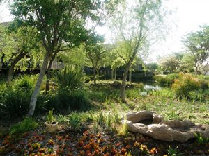 3 Bed Townhouse in Hazeldean (Silverlakes Surroundings)