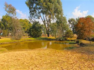 2 ha Land available in Benoni AH