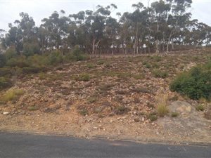 1463 m² Land available in Bredasdorp