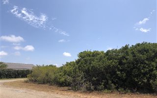 844 m² Land available in Boesmansriviermond