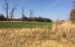 688 ha Farm in Mafikeng