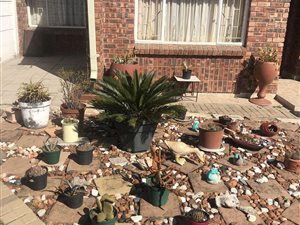 3 Bed Townhouse in Newcastle Central
