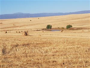 513 ha Farm in Hazyview