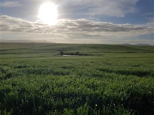 513 ha Farm in Hazyview