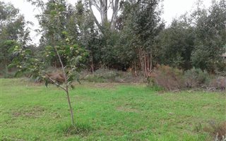 1 ha Farm in Sir Lowrys Pass