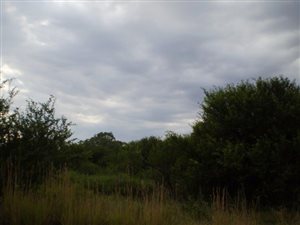 2.1 ha Land available in Bloemfontein Farms