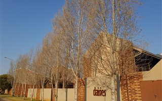 2 Bedroom Apartment in Dassierand