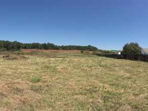 1 ha Land available in Mooikloof Equestrian Estate