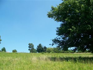 3076 m² Land available in Rosetta