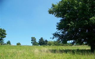 3076 m² Land available in Rosetta