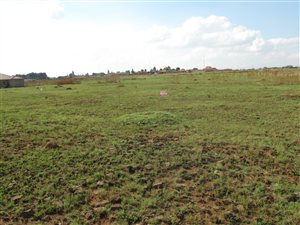 1115 m² Land available in Welgedacht